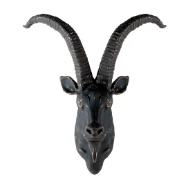 Head of a mountain goat